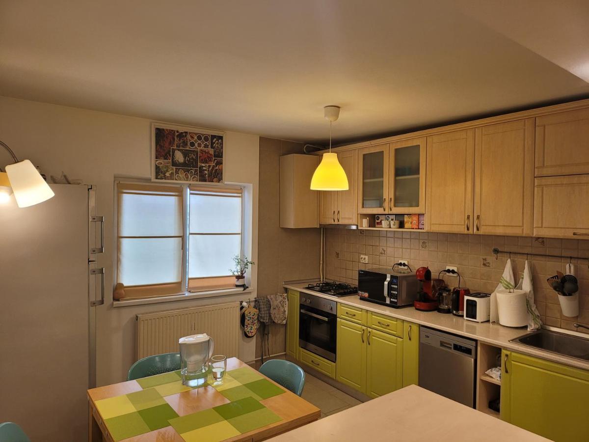 Family Friendly With Kids Room, Quiet And Peaceful Bukarest Exteriör bild